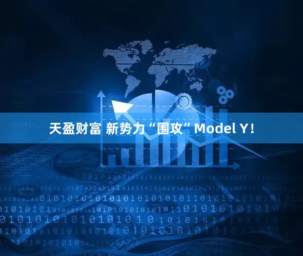 天盈财富 新势力“围攻”Model Y！